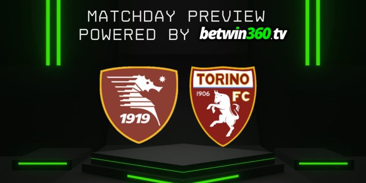 Salernitana vs Torino: sfida a tinte granata