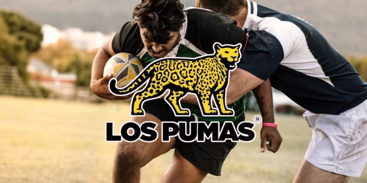 Rugby: Argentina e All Blacks faccia a faccia