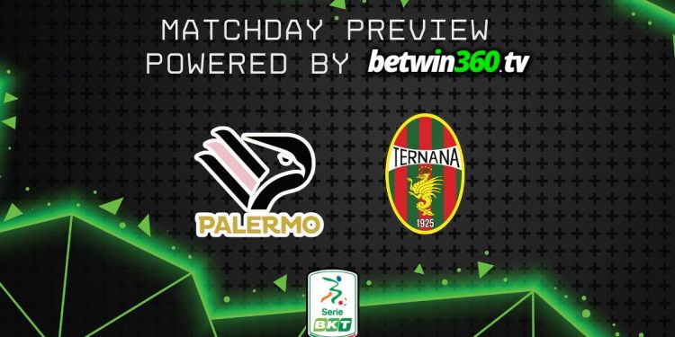 Palermo e Ternana: tutte le difficoltà del confronto