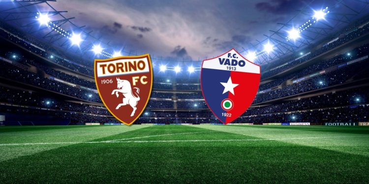toro vado