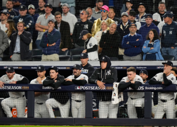 TIFOSO INTERFERISCE IN UNA PARTITA DI BASEBALL